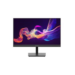 Hikvision DS-D5024F2-AP2 23,8"monitor